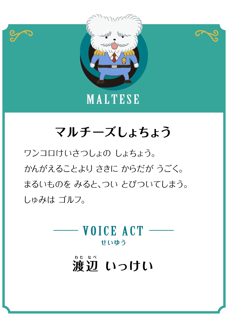 MALTESE マルチーズしょちょう ワンコロけいさつしょの しょちょう。かんがえることより さきに からだが うごく。まるいものを みると、つい とびついてしまう。しゅみは ゴルフ。